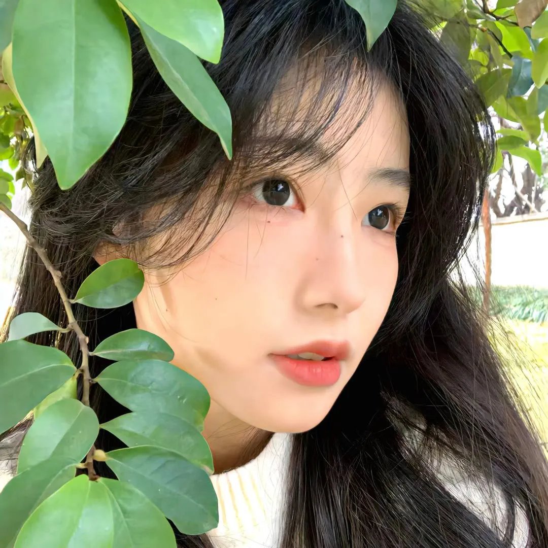 妖铃铃